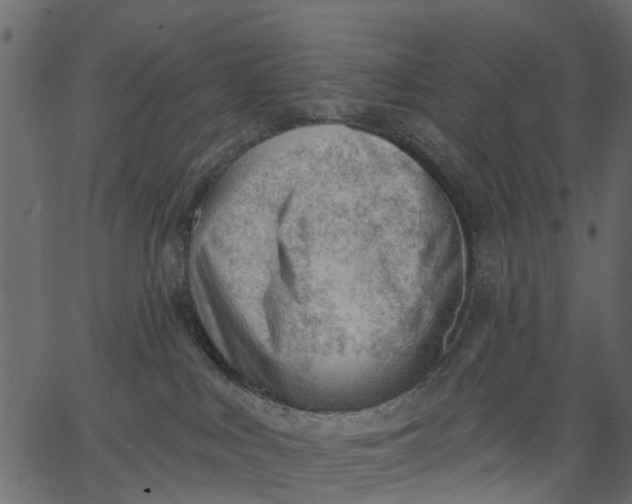 X0000062610043200601111020