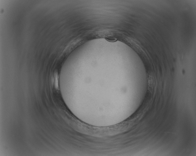 X0000062610046200601111020