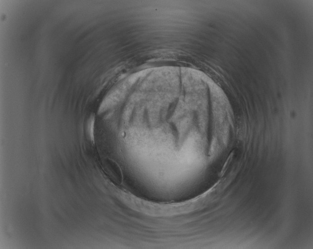 X0000062610047200601111019