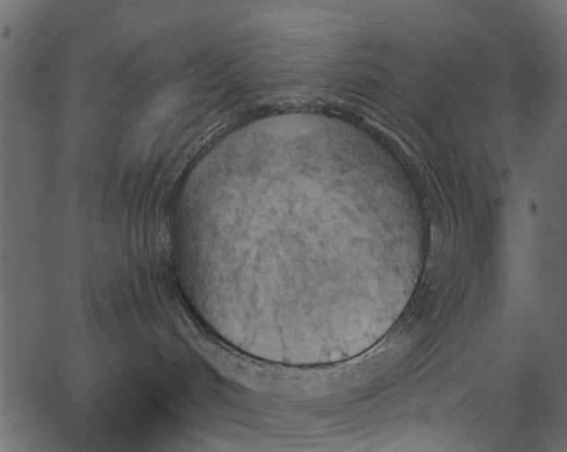 X0000062610048200601111019