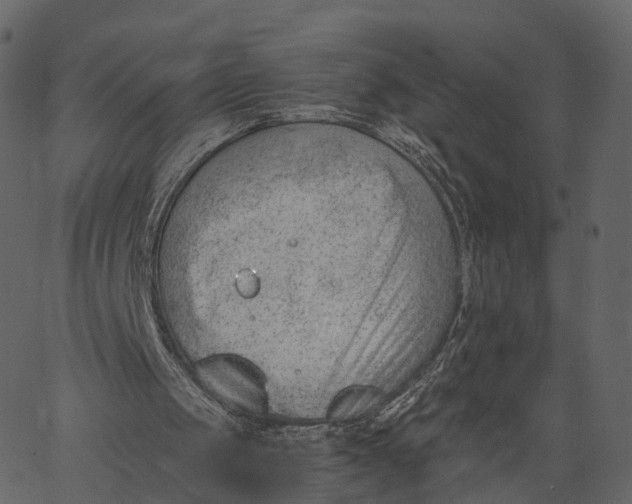 X0000062610049200601111019