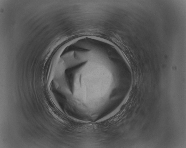 X0000062610050200601111019