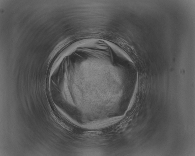 X0000062610051200601111019