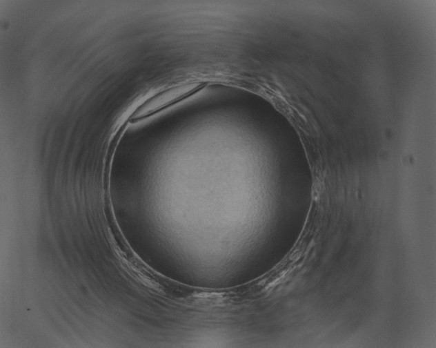 X0000062610052200601111019