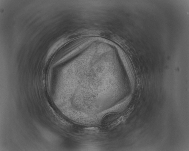 X0000062610053200601111019