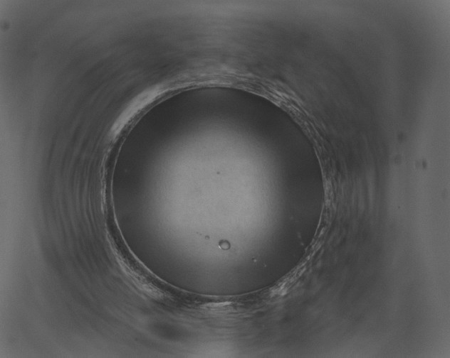 X0000062610054200601111019