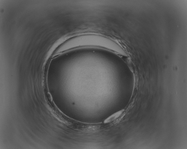 X0000062610056200601111019