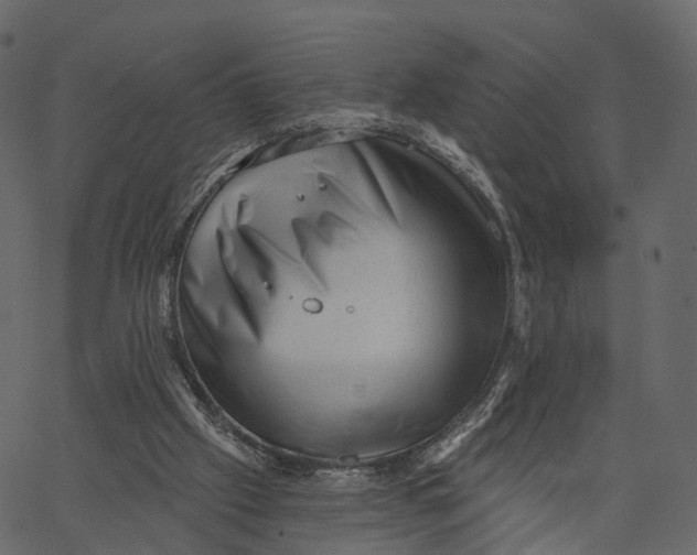 X0000062610057200601111019