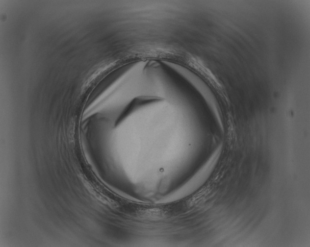 X0000062610058200601111019