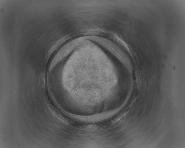 X0000062610059200601111019