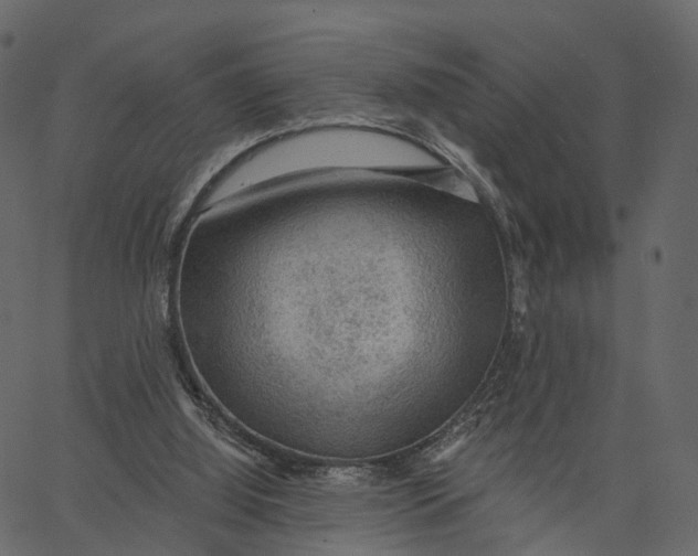 X0000062610060200601111019