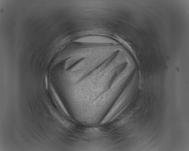 X0000062610061200601111019