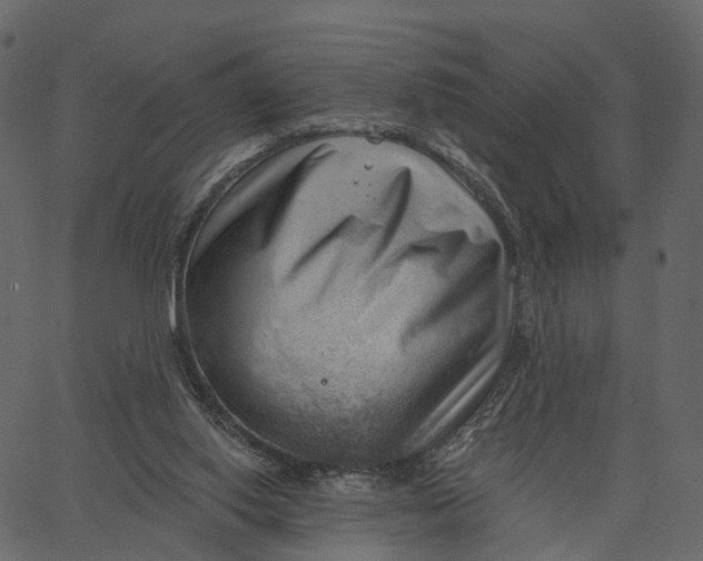 X0000062610062200601111019