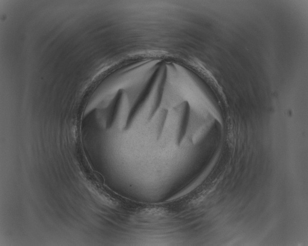 X0000062610063200601111019