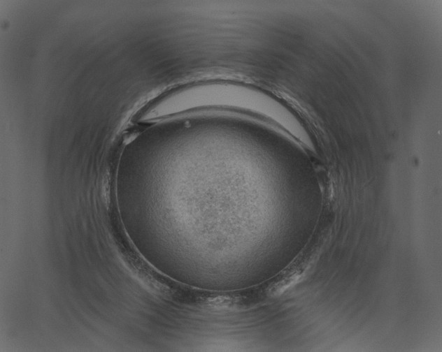 X0000062610064200601111019