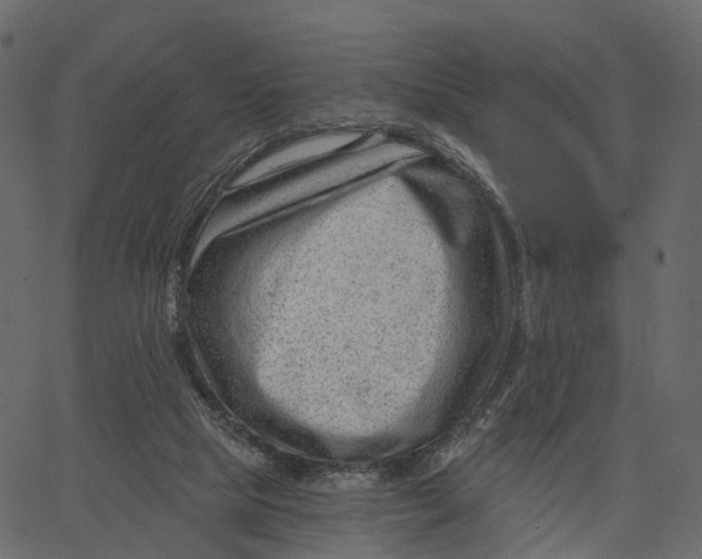 X0000062610065200601111019