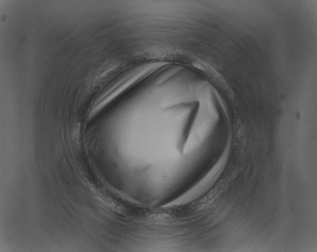 X0000062610066200601111019