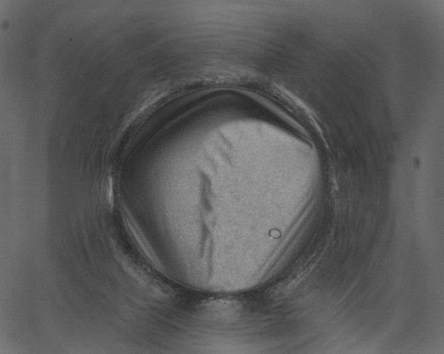 X0000062610067200601111019