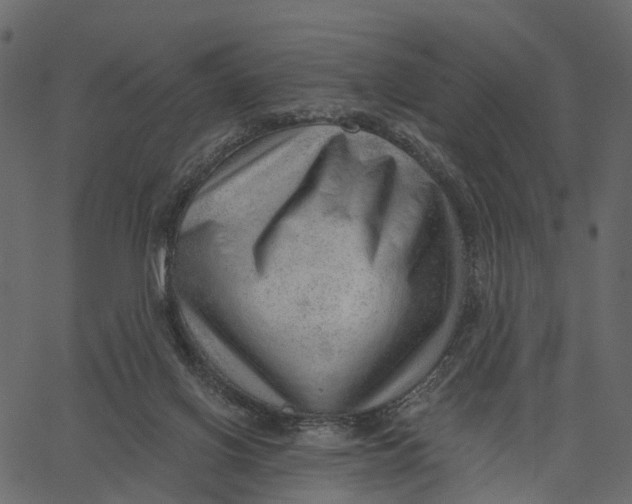 X0000062610070200601111019