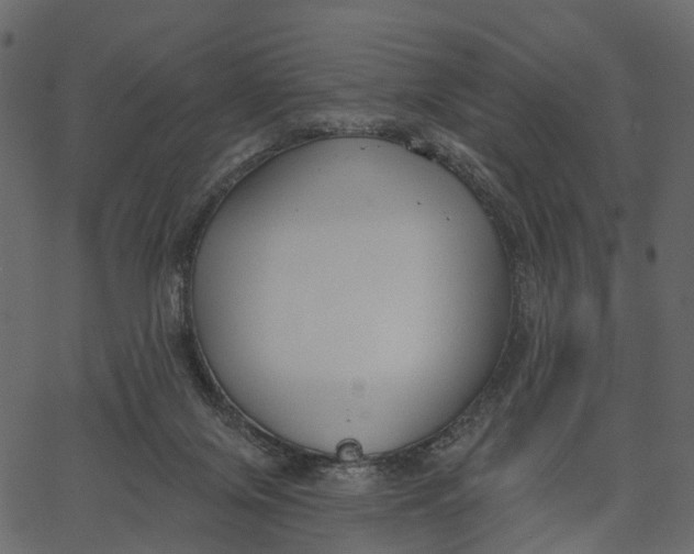 X0000062610071200601111019