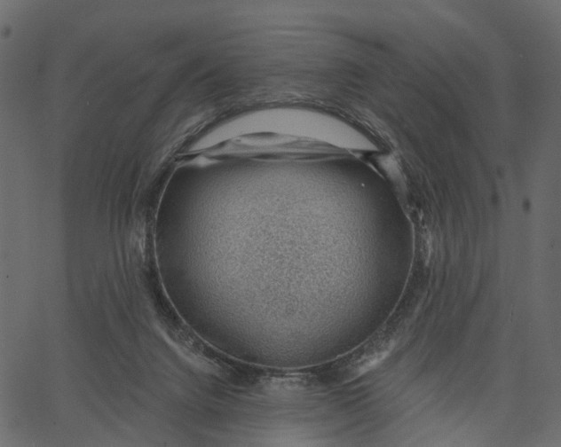 X0000062610072200601111019