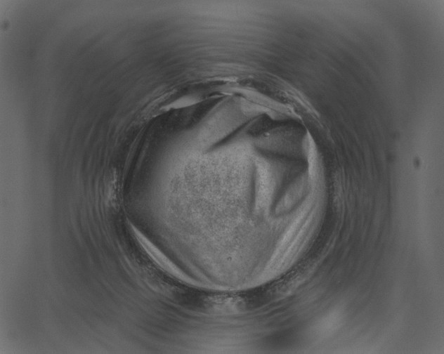 X0000062610073200601111019