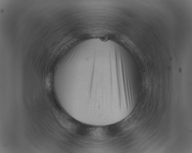 X0000062610074200601111019