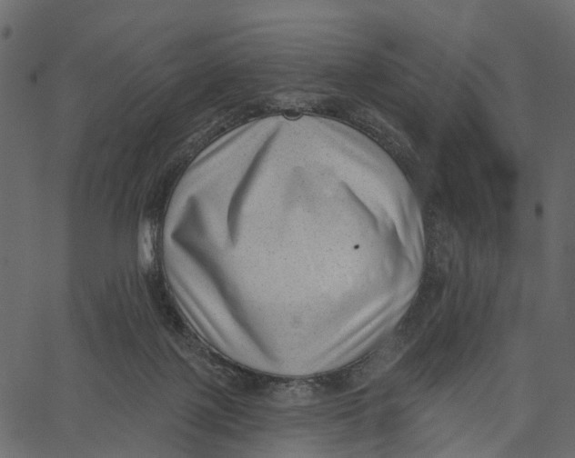 X0000062610075200601111019