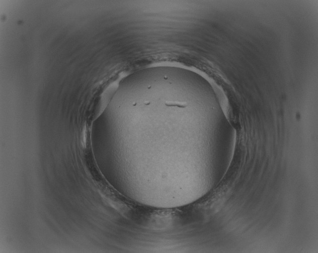 X0000062610076200601111019