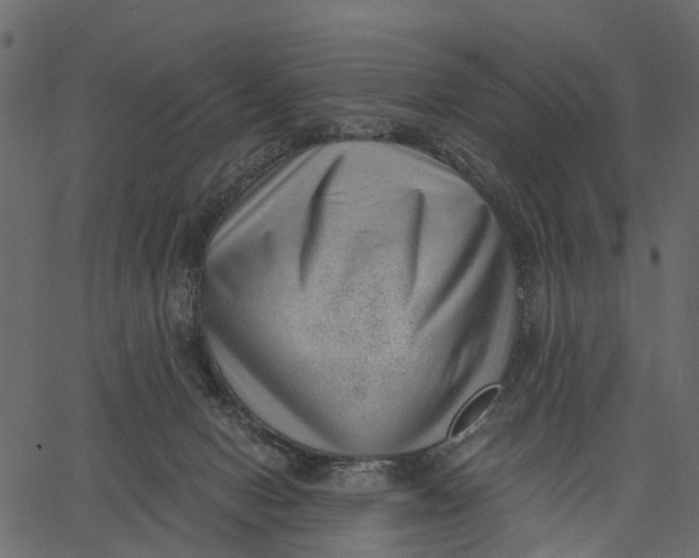 X0000062610078200601111019