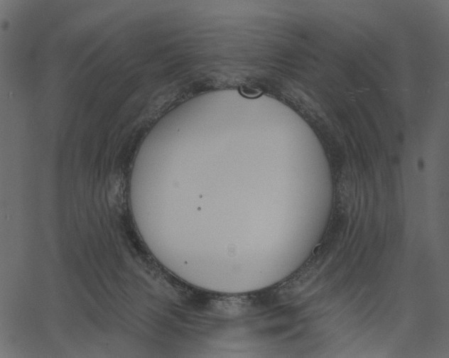 X0000062610079200601111019