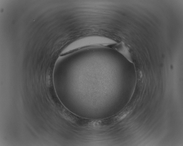 X0000062610080200601111019