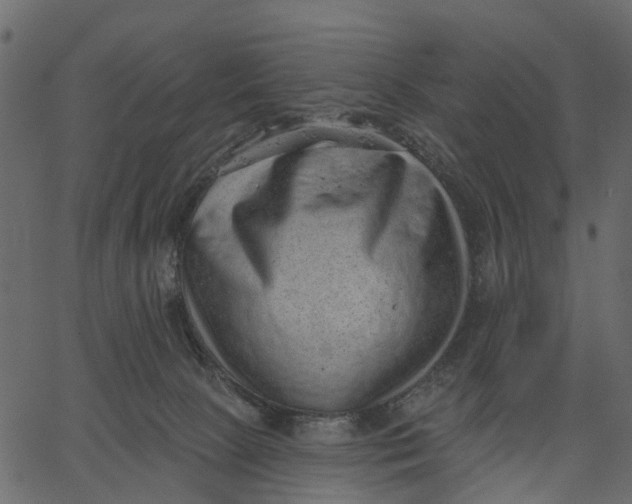 X0000062610081200601111019