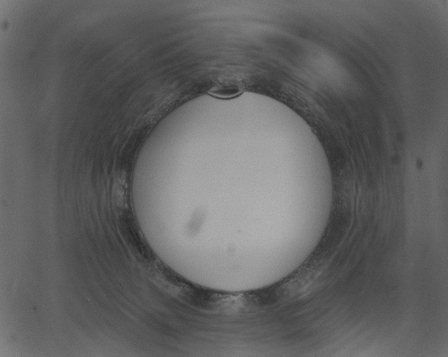 X0000062610083200601111019