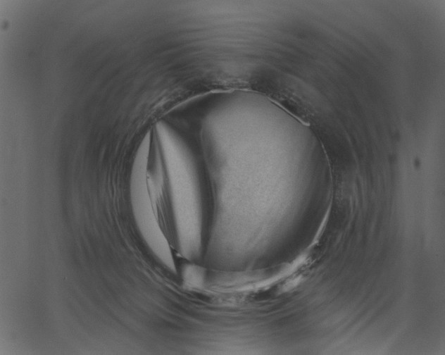 X0000062610084200601111019