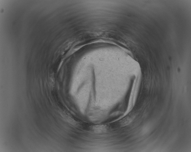 X0000062610085200601111019