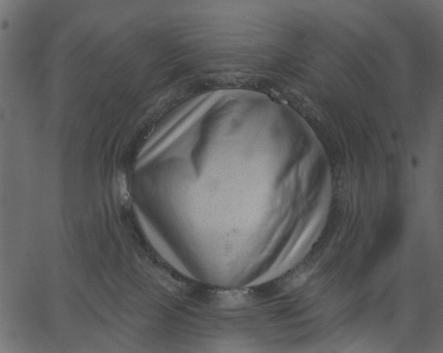 X0000062610089200601111019