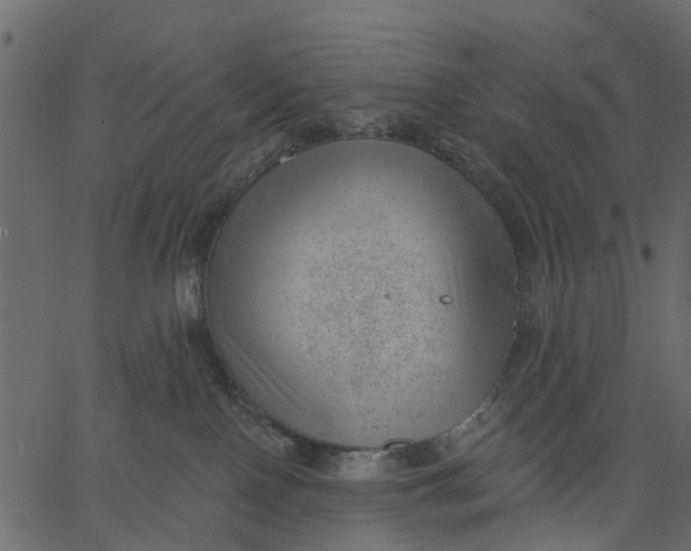 X0000062610090200601111019