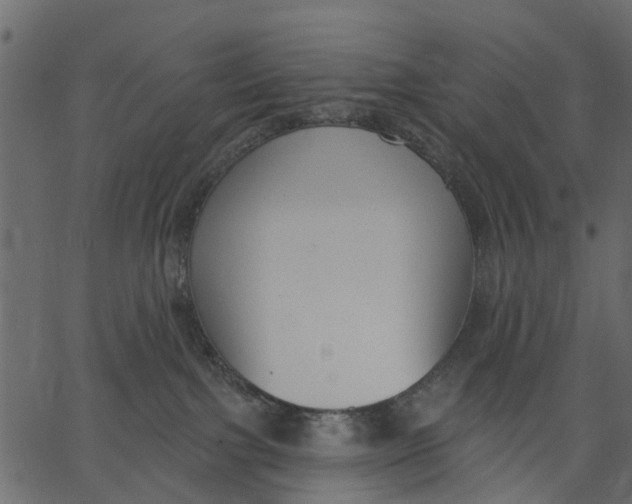 X0000062610091200601111019