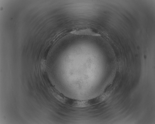 X0000062610093200601111019