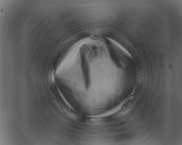 X0000062610095200601111019