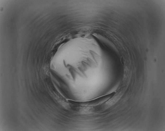 X0000062610096200601111019