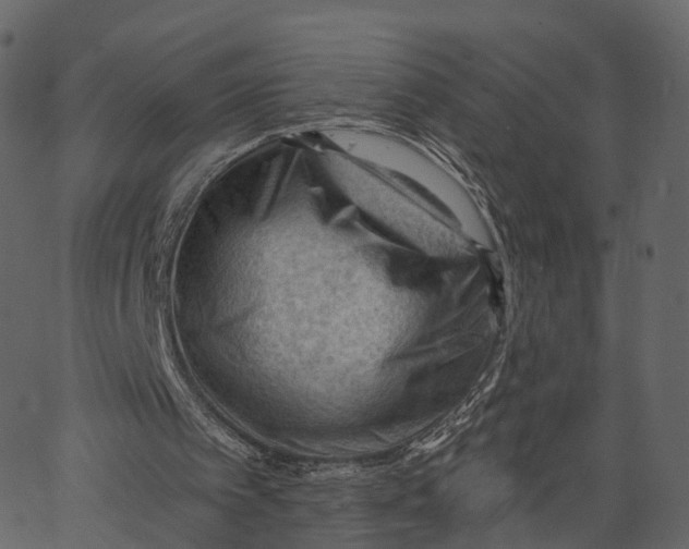 X0000062610097200601111019