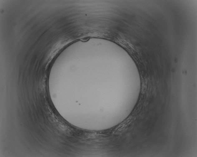 X0000062610098200601111019