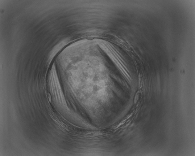 X0000062610099200601111019