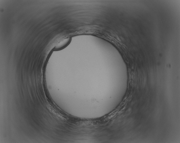 X0000062610100200601111019