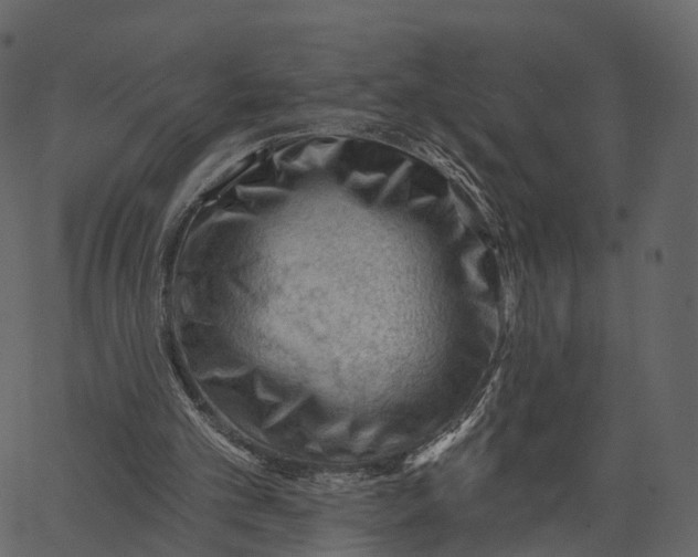 X0000062610101200601111019