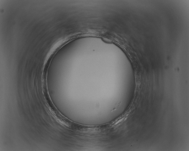 X0000062610102200601111019