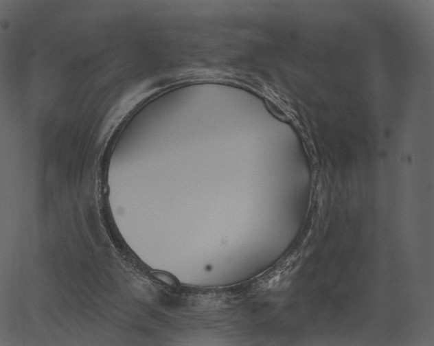 X0000062610103200601111019