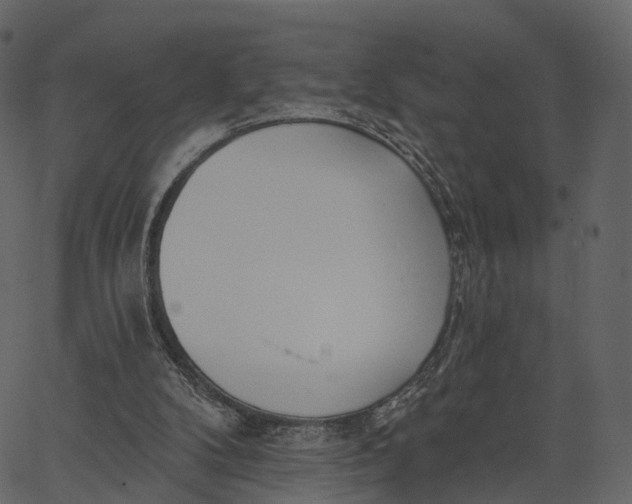 X0000062610104200601111019